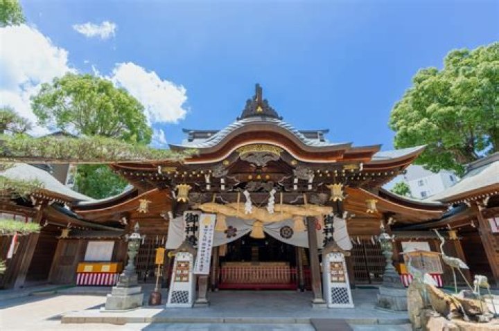 中洲「もしかの」完全ガイド｜福岡を代表する名店の魅力