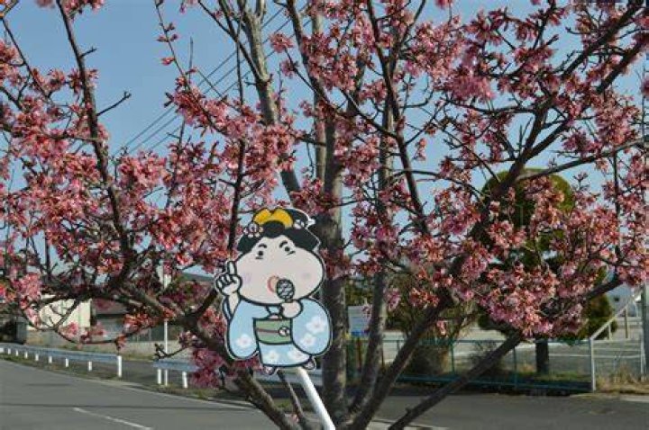 田川郡川崎町が生んだ有名人たち：知られざる才能の故郷
